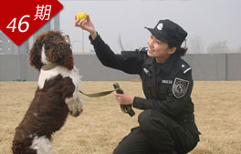 安全衛(wèi)士 訓(xùn)犬警花